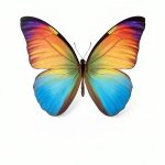 Empowering Excellence in Hospice: A Nurse's Toolkit for Best Practices-0